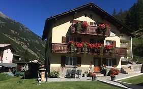 Apartment Enzian